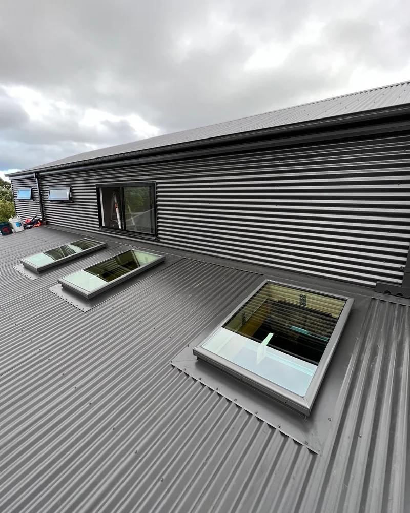 Corrugated metal wall cladding beside roof skylights