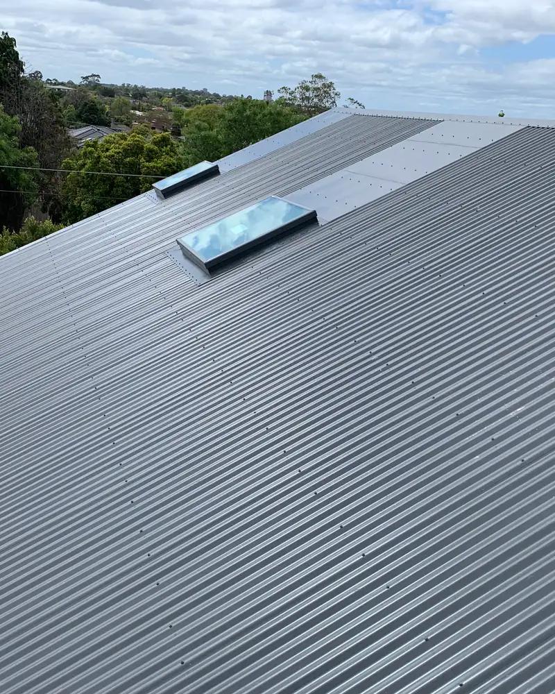 Charcoal Colorbond roof with a skylight