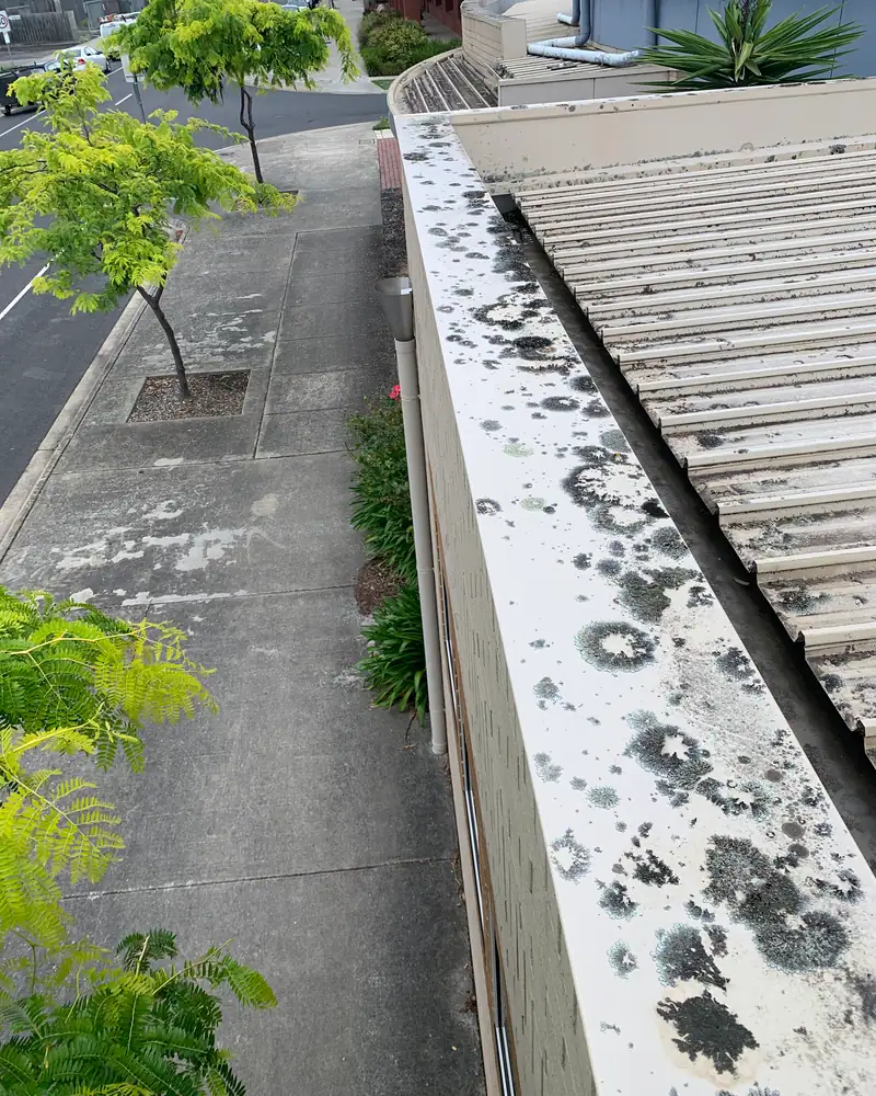 Commercial box gutter and rainhead
