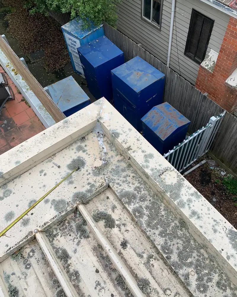 Commercial roof with moss and a corroded box gutter