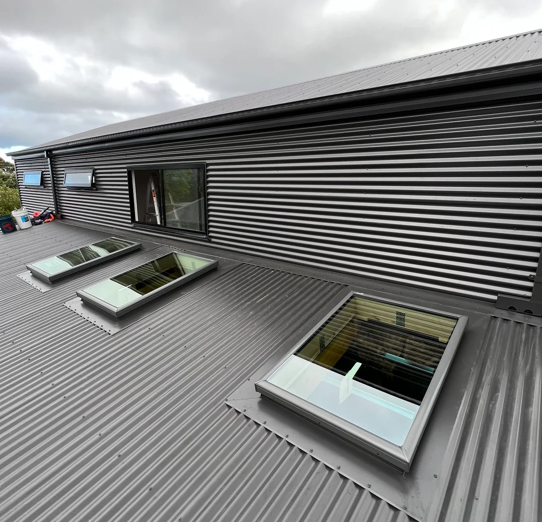 Corrugated metal wall cladding beside roof skylights
