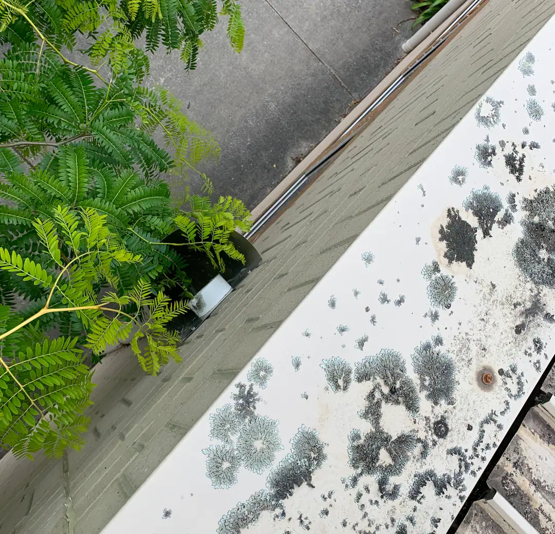 Commercial Roof Maintenance at Gippsland VIC